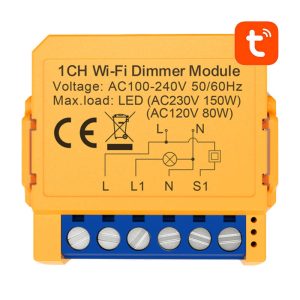 Presa intelligente WiFi Avatto DMS16-2 TUYA