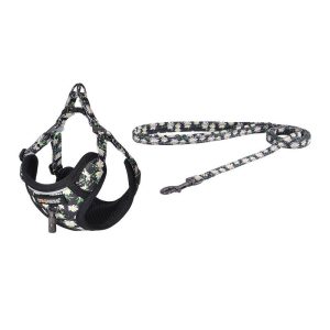 Set da passeggio Dogness con guinzaglio da 1,5 m + pettorina per cani (multicolore)
