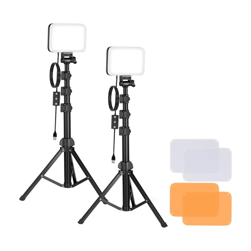 Set da studio Neewer BP66 con due lampade LED, filtri e treppiedi.