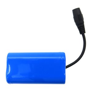 Batteria Flytec V900 da 12000 mAh