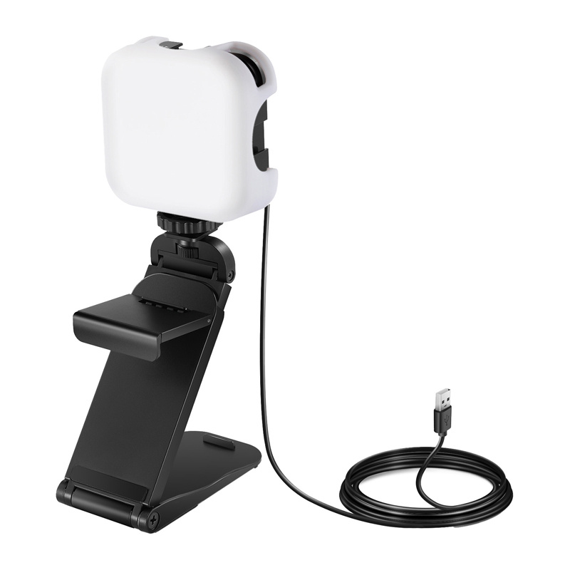 Illuminazione per videoconferenze Neewer PL81Pro