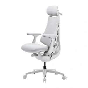 LiberNovo Omni Pro 45 cm Ergonomic Chair (White)