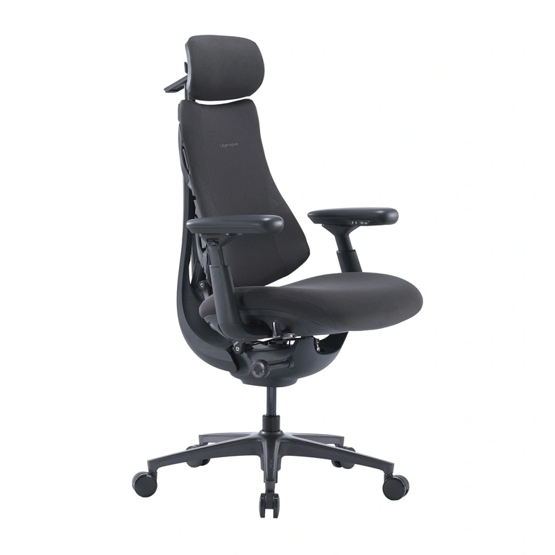 LiberNovo Omni Pro 48 cm Ergonomic Chair (Graphite)