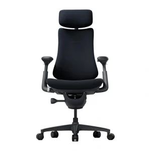 LiberNovo Omni 48 cm Ergonomic Chair (Black)